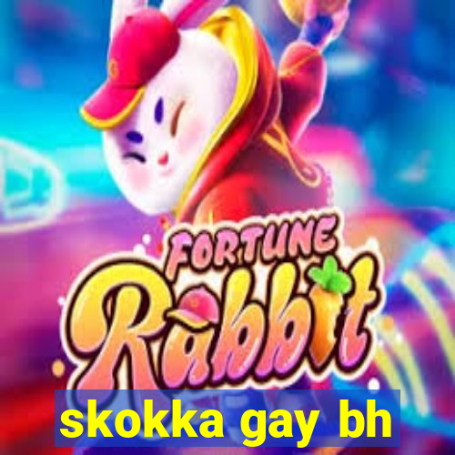 skokka gay bh